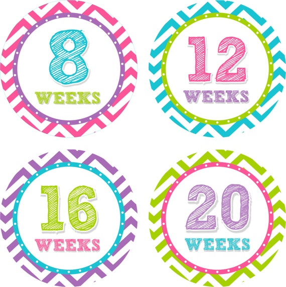 Pregnancy Stickers Week Baby Bump Stickers Weekly Belly