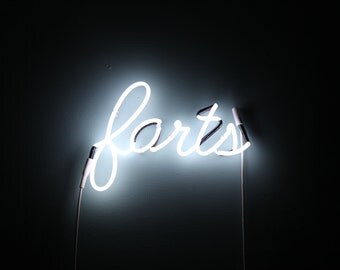 Farts Neon Sign