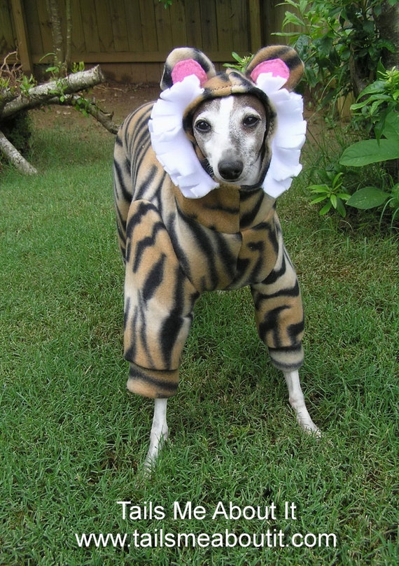 Tiger Dog Costume Halloween costume Italian Greyhound, Chinese