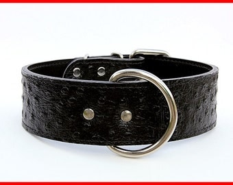 Black Ostrich Leather Dog Collar Wi th Nickel Hardware (Made In Ca ...
