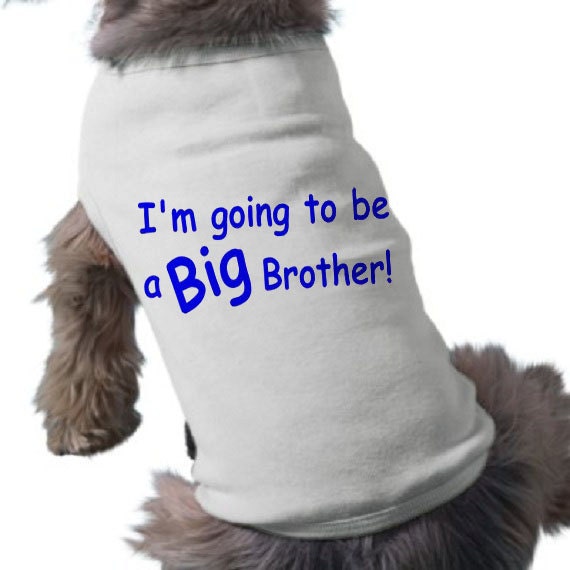 I'm Going To Be a Big Brother Dog Shirt Dog TShirt