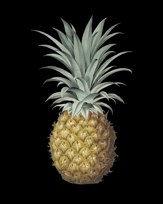 Items similar to Pineapple Symbol of Welcome - 8 x 10 Viintage