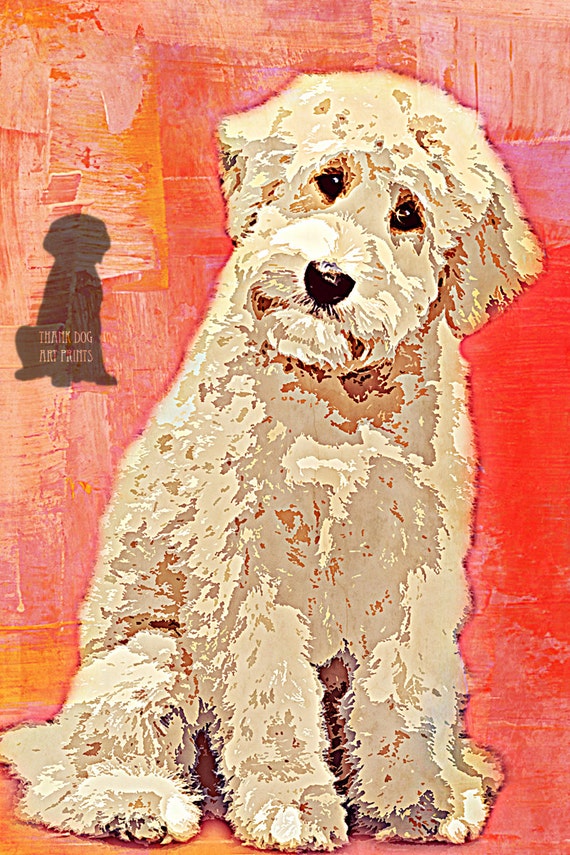 Labradoodle Digital Art Print by KensieArnoldDesigns on Etsy