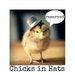 Reserved for bridgetleroy Chicks in Hats Variety Mix of Happiness Postcard Set