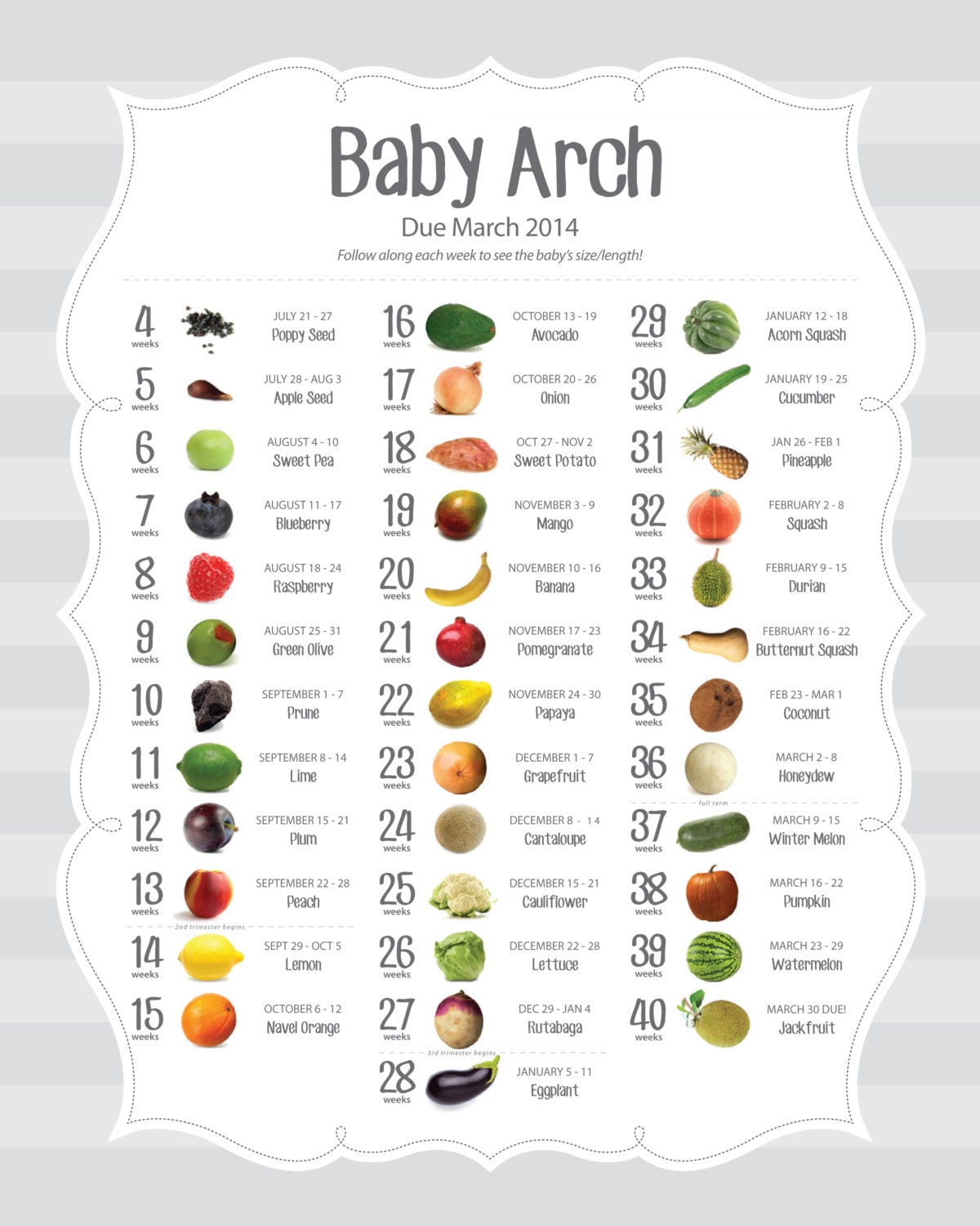 Fetus Size Fruit Chart