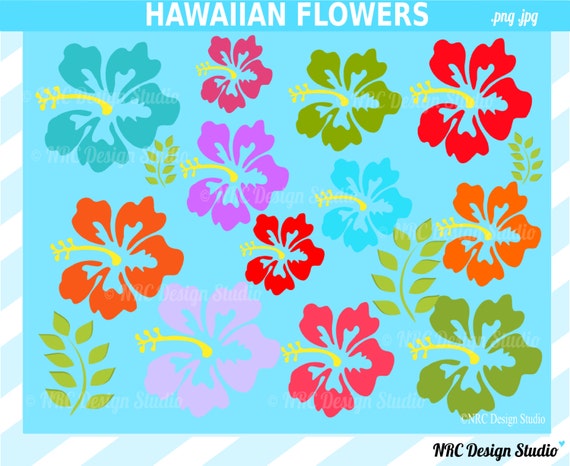 Summer Clip Art - Hawaiian Flowers Clip Art - Digital Hawaii Flowers Clipart Il_570xn
