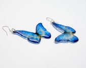 Blue morpho butterfly earrings Dangle earrings Transparent jewelry Glossy earrings Epoxy resin earrings Blue butterfly jewelry Royal blue