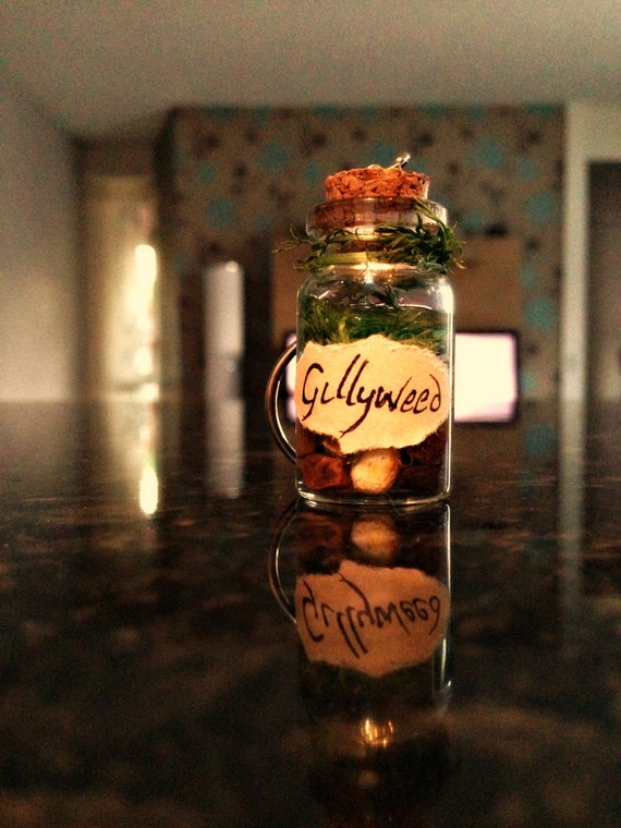 Items similar to Miniature Gillyweed Harry Potter inspired Potion ...