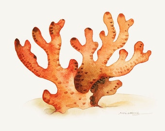 Watercolor Painting - Red Coral Painting - Watercolor Coral - 5 by 7 print - Archival Print, Beach House Décor, Home Decor, Ocean Art