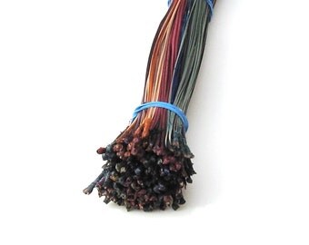 Dyed Pine Needles Multicolored Rainbow 4 OZ for Coiled Pine Needle Basket Craft Coiling Basketry