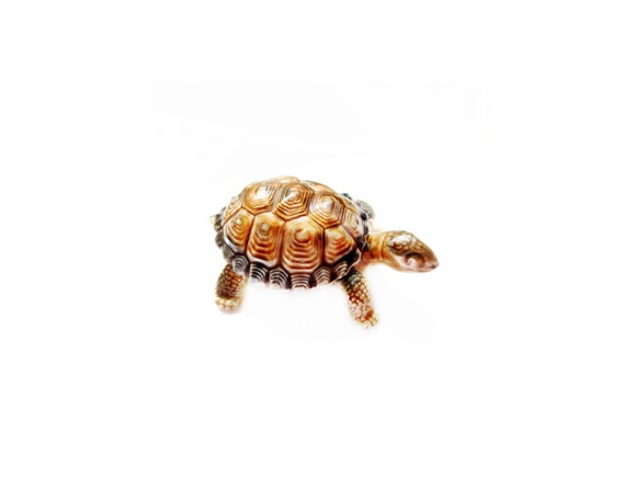 wade china tortoise