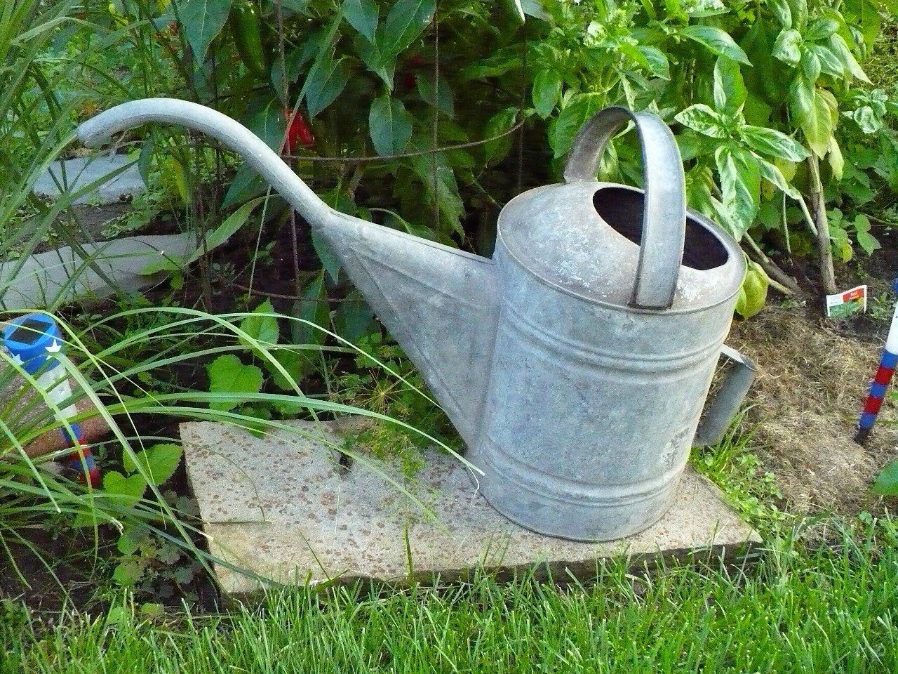 Watering Can Planter