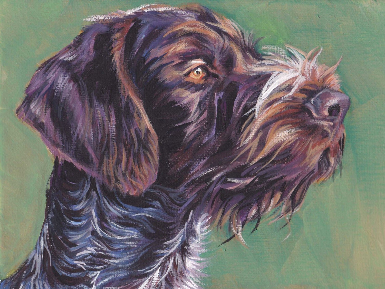 gwp German Wirehaired Pointer portrait dog art CANVAS print of
