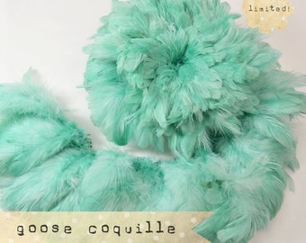 40-50pcs - SEAFOAM GREEN - Vogue Goose Coquille Feathers - silky, satin, airy, soft feathers - LIMITED (016)