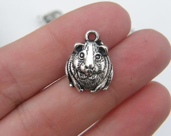 6 Guinea pig charms antique silver tone A91