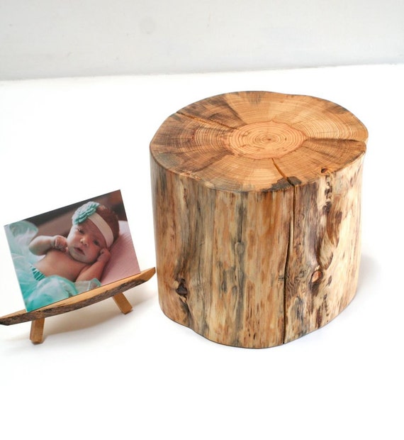 tree stump slice pedestal stand centerpiece display prop trunk tree stump slice pedestal stand centerpiece display prop trunk