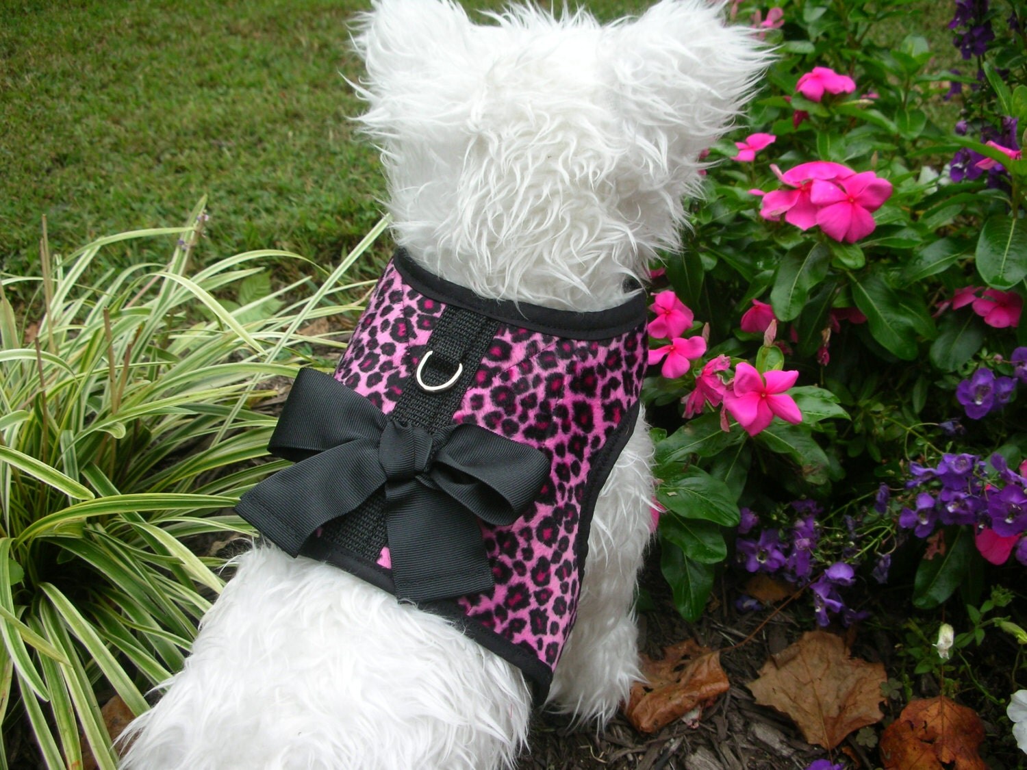 Pink Leopard Small Dog Harness with Bow dog harnesses pet