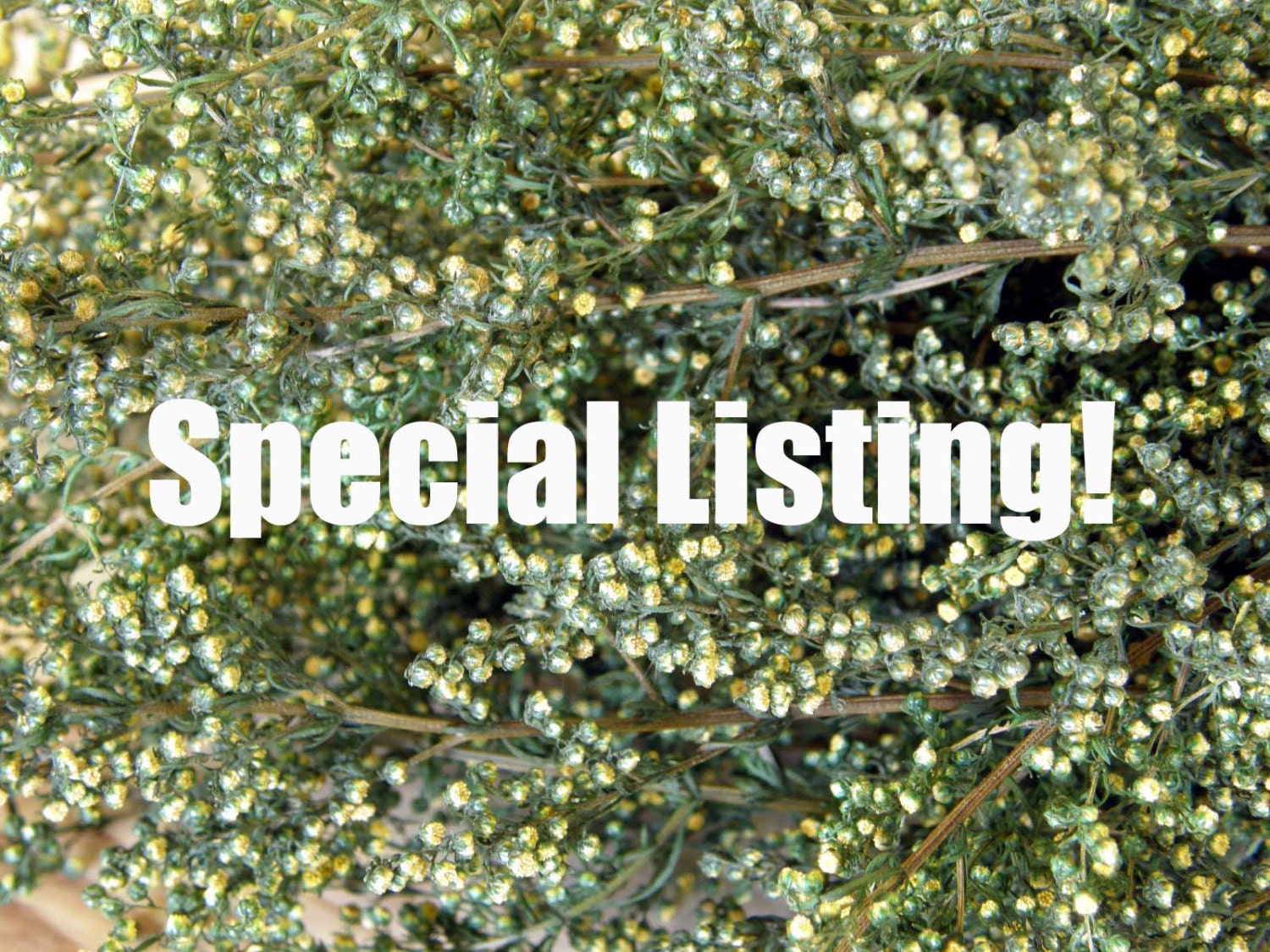 Special Listing for Mary