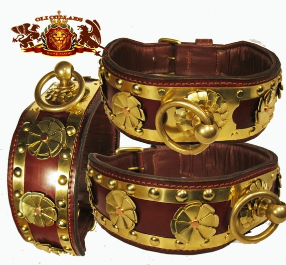 Japanese Tosa Inu Collar