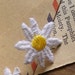 9pcs Cotton Lace Daisy Flowers Off White Lace Appliques Patches