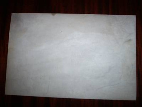 vellum parchment