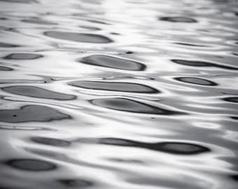 Black And White Photography Wall Art black and white photography floral photography flower Black And White Photography Wall Art black and white photography floral photography flower