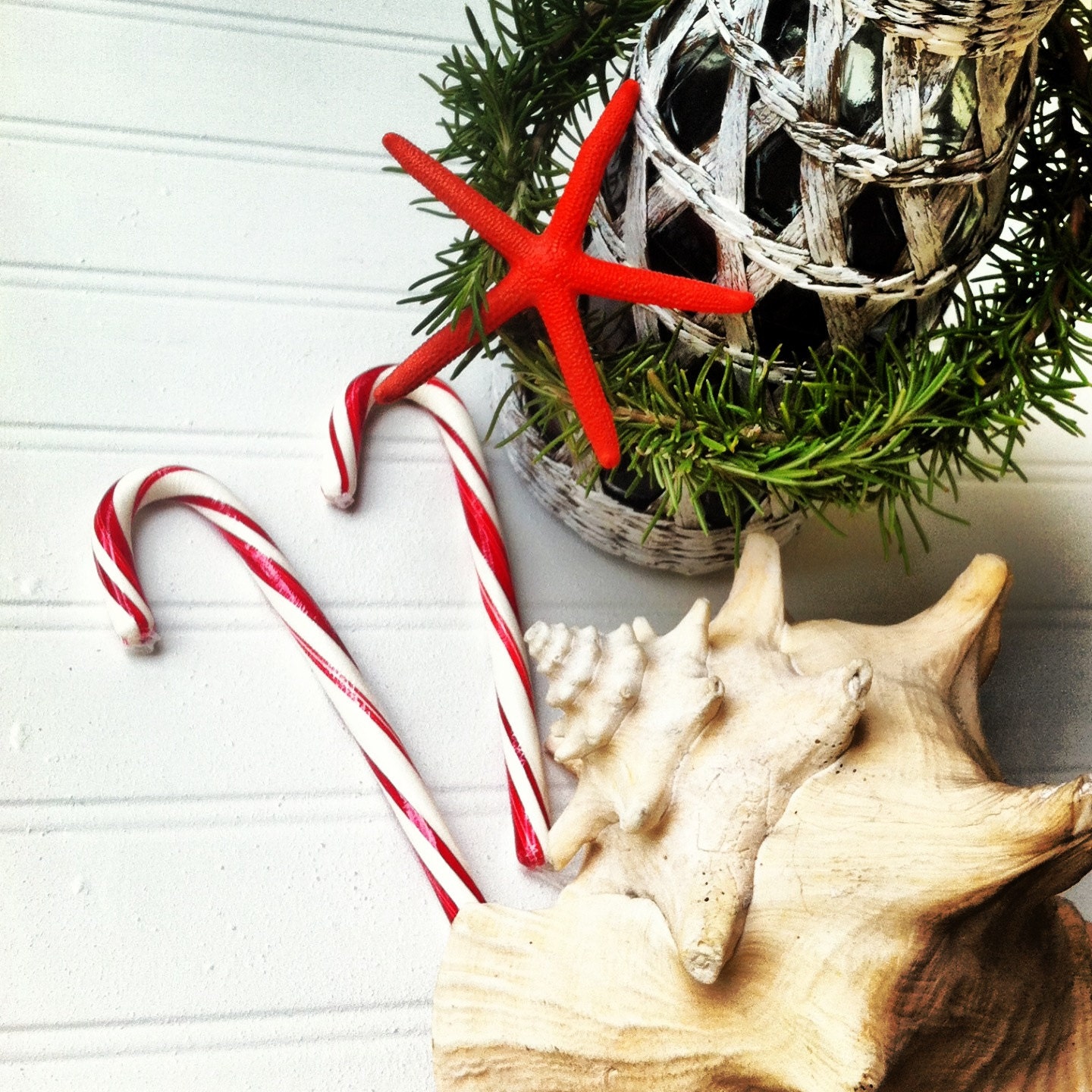 Christmas party hostess gift rosemary wreath beach red starfish wine bottle tag ornament nautical island tropical green organic natural sea
