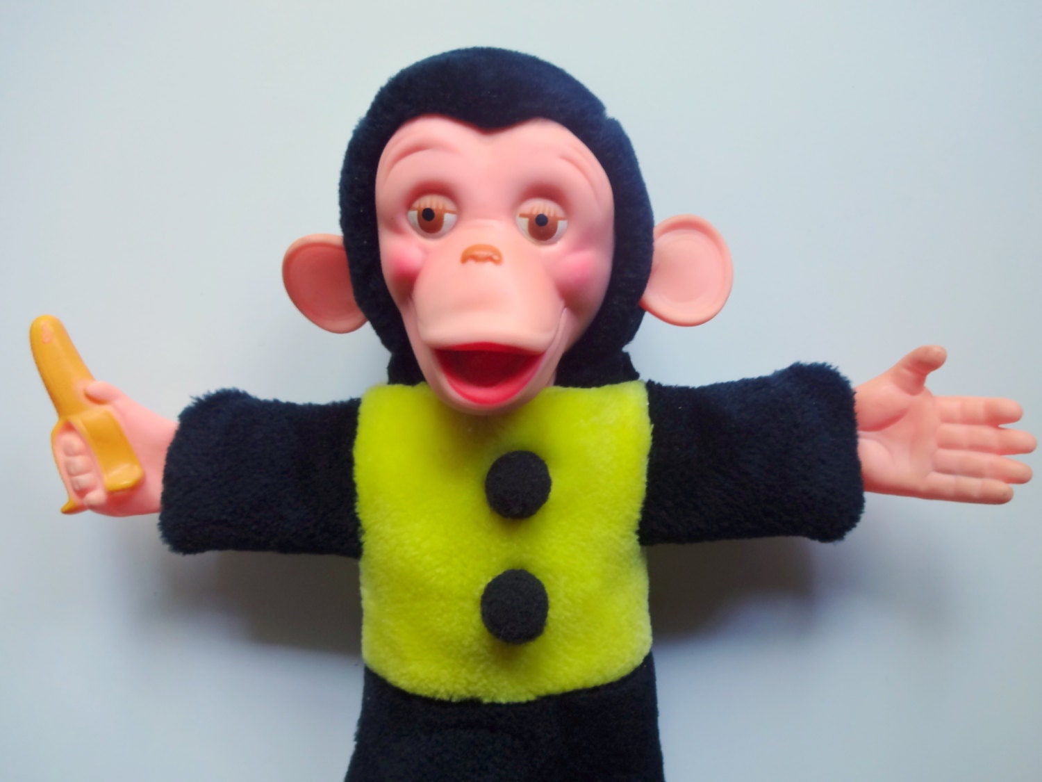 mr bim monkey