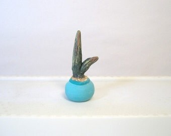 Cactus, Miniature cactus in a pot