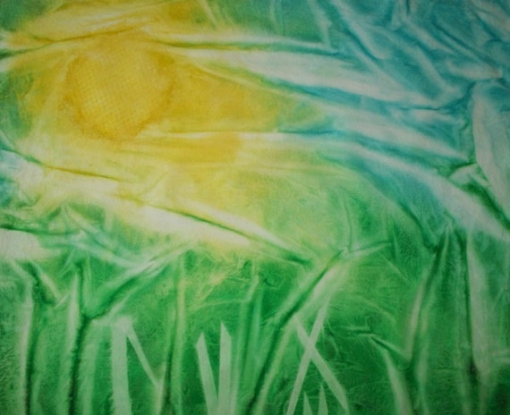 Hand dyed fabric Landscape abstract Heliographic art