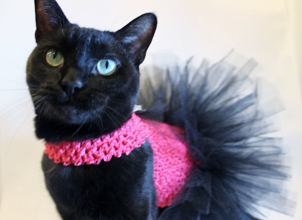 Черно розовую кошку