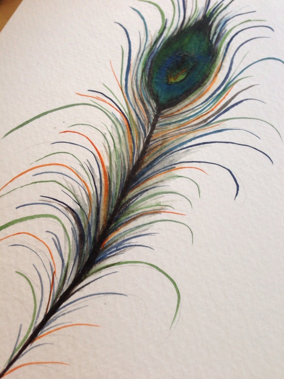 Peacock Feather Original Watercolor Art