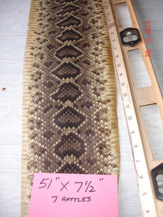 Rattlesnake skin Eastern Diamondback Crotalus adamanteus