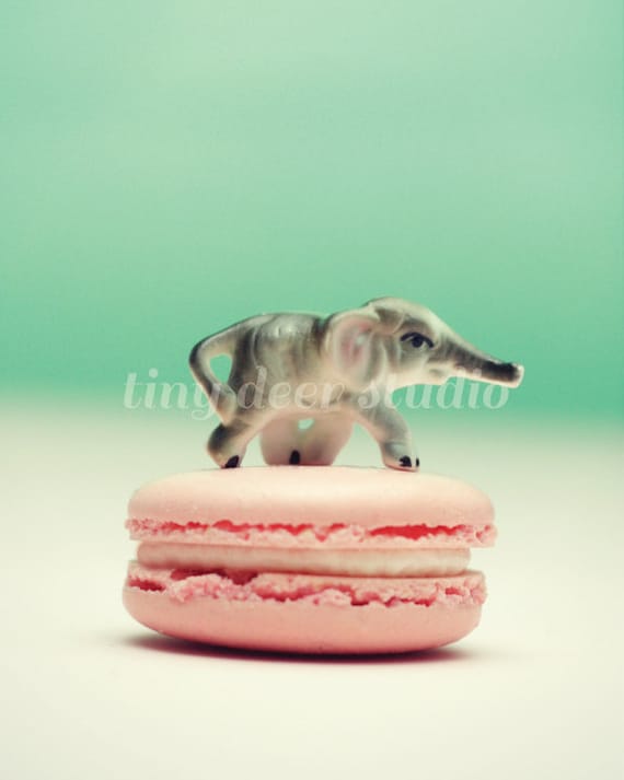 Macaron Baby -Elephant 8x10 PRINT