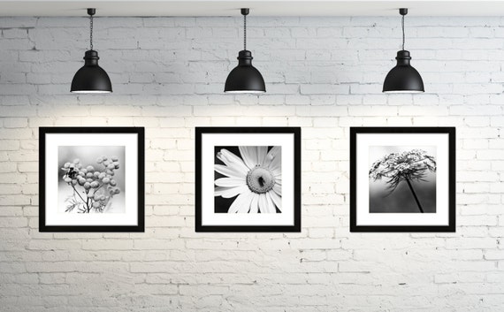 Black and White Photography (With images) | Photography wall art, Fine