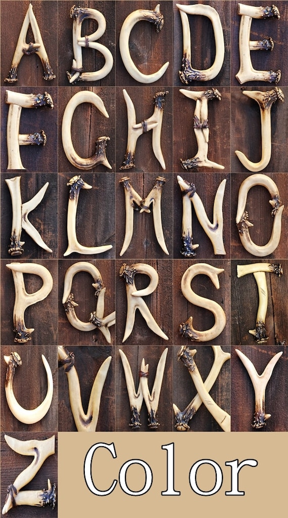 Deer Antler 4x6 ALPHABET prints 3.99 EACH Letter Hunting