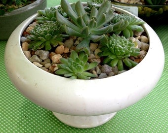 Unavailable Listing on Etsy