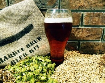 Oh-My-IPA 1 Gallon Beer Ingredient Kit - Brew in a Bag BIAB - Home Brew - India Pale Ale