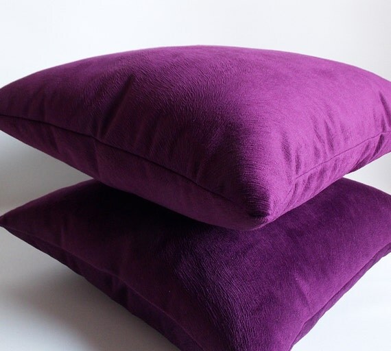 Set Of 2 / Decorative Velvet Throw Pillow