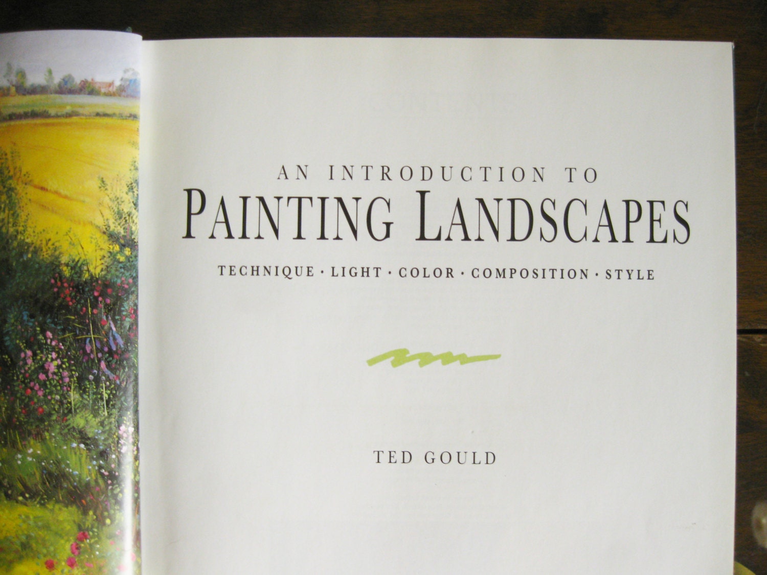 Art Instruction Book How to Book Painting Book by kathleendaughan