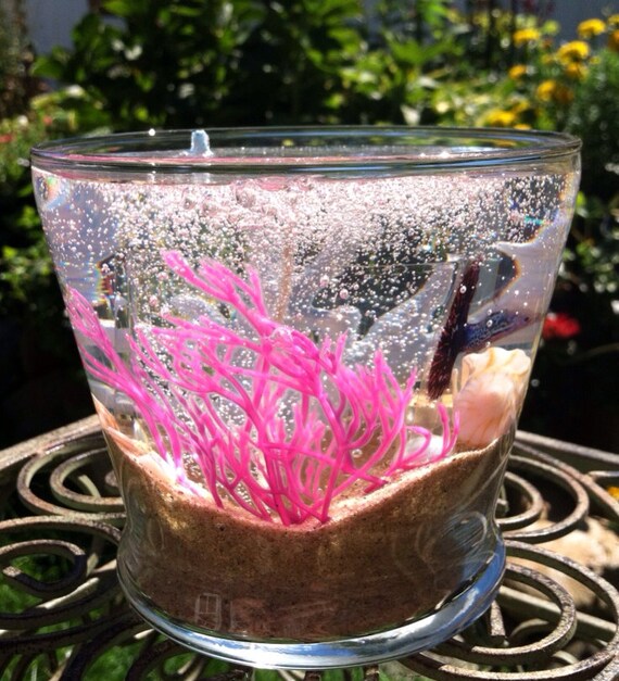 Gel Candle Fish Tank/ Nautical