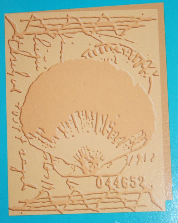 Cricut+Sea+Shell A2 Sea Shell Collage Embossing Folder from by OHMYSTARSSUPPLIES