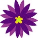 HLG Designs