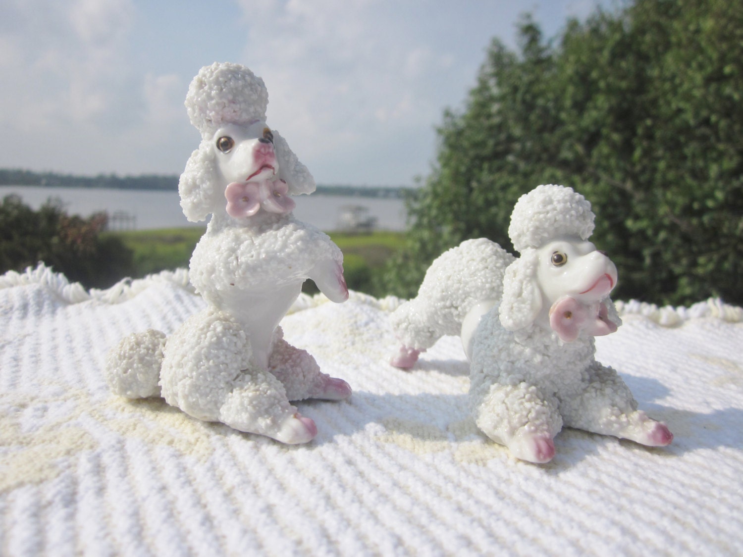 poodle collectables