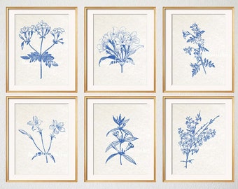 Blue Botanical Prints, Blue Wall Art, Botanical Prints, Botanical Plates, Jasmine, Jasmine Prints, Floral, Wall Art, Set of 6 Prints