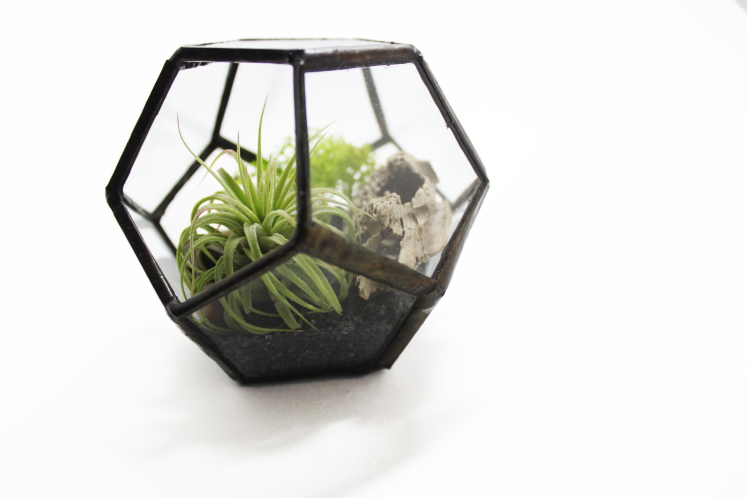 Small Geometric Terrarium Kit / Dodecahedron / Air Plant Kit