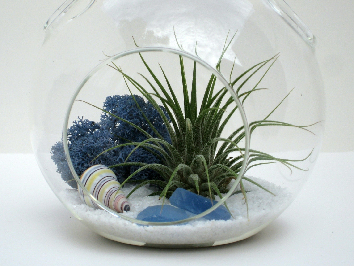 Beach Terrarium Kit WHITE SANDS Hanging Terrarium w/ Air