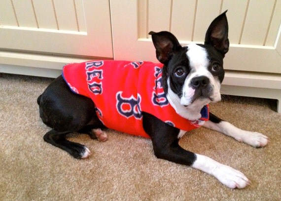 red sox dog jacket