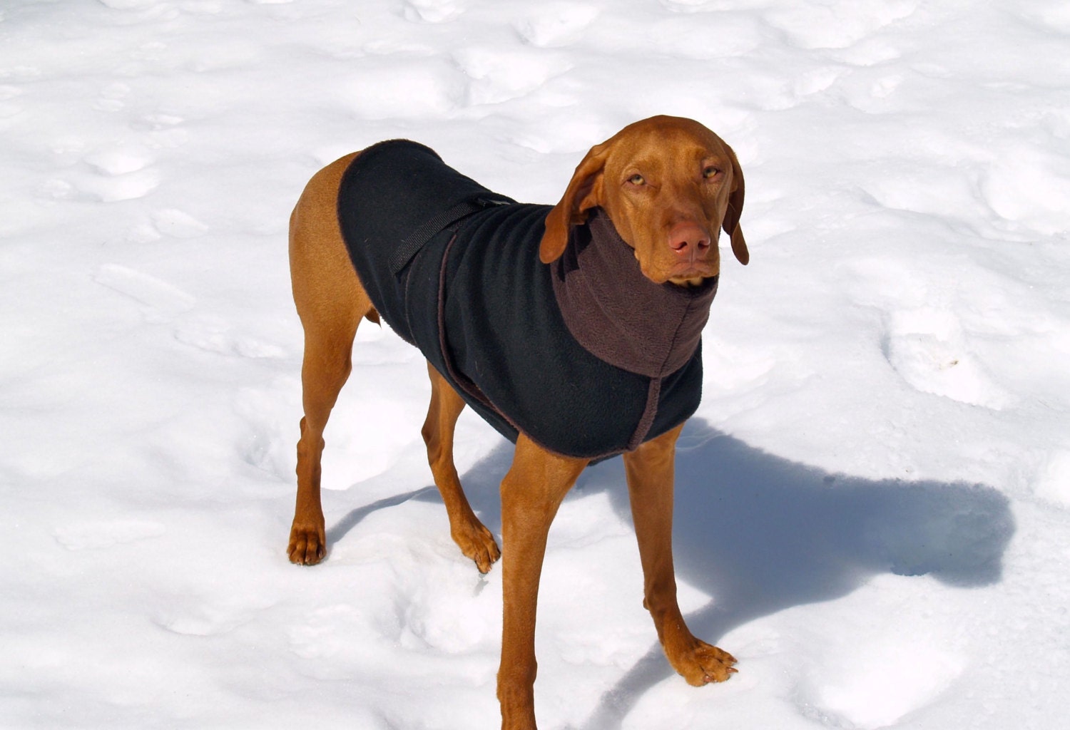 Black Fleece dog coat dog vest for 4050lb vizsla small