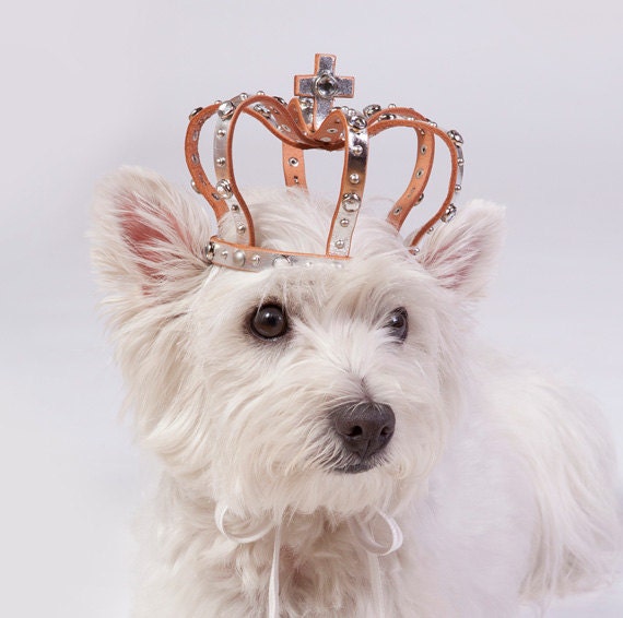 Leather dog crown with stone & studs Size M